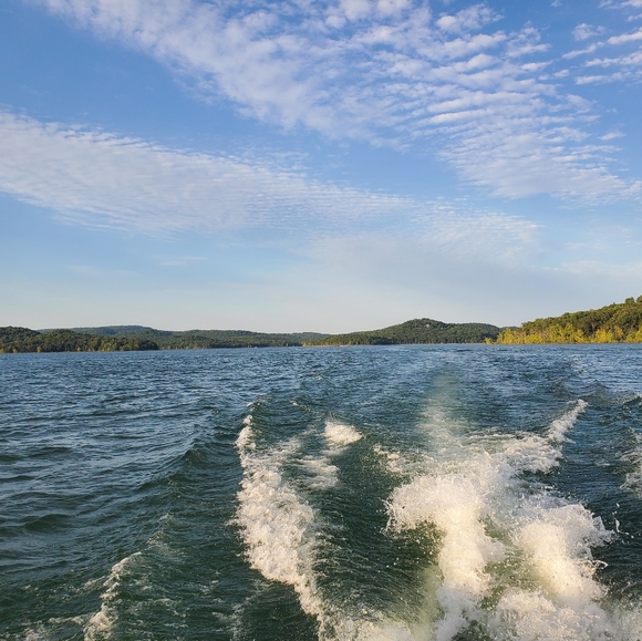 Meet your Posher, Bridget - Picture 6 of 10